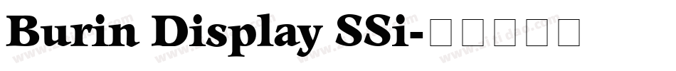 Burin Display SSi字体转换